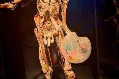 4B52F7DC-F449-48CC-9D4C-1919FD6FF88B