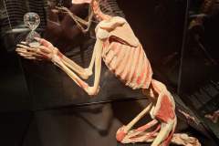 51E6EFA6-E7E2-49D6-95D0-570B73279D6C