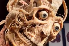 6E4579CD-20FA-4E77-A345-68DEBEB5F434