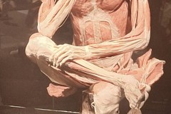 95113637-25F9-4A61-86A8-508A80370099