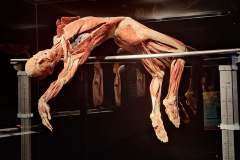 AFC0EF68-73D5-48C4-842E-3E92C18255BD