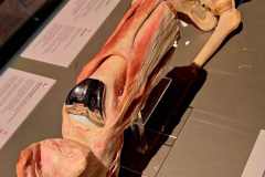 B48C3591-C65E-4F5D-82E0-7D3373CB7BCA