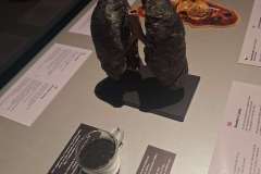 E211F105-C666-48FB-94B4-56CC983C71DB