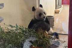 Exkurze do Vídně (29. - 30. září 2025)