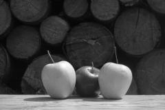 Fotografování - ročníkové práce