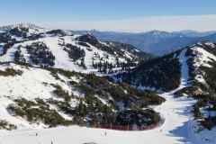 BF48B44C-DF50-4C90-8534-C302AA824A69