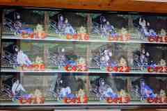 CA466E0B-6D54-4046-BE3E-A9BE58F10BBA-1