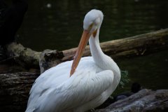 ZOO Plzeň (10. září 2024)