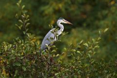 ZOO Plzeň (17. října 2023)